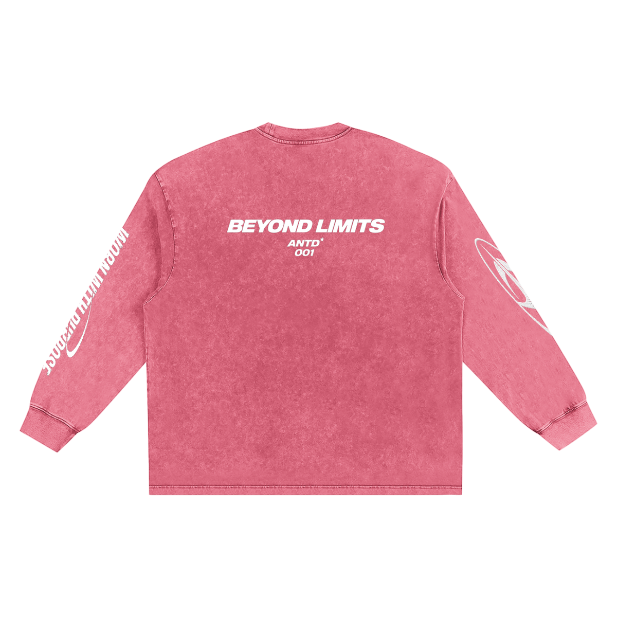 Snow Washed Frayed Edge T-Shirt