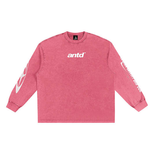 Snow Washed Frayed Edge T-Shirt